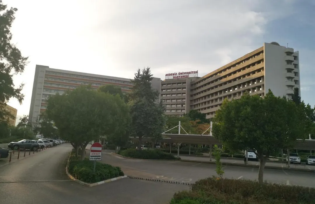 Araucaria Pension-1